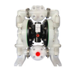 Пневматический мембранный насос GEMATECH GT2-AEN-25K